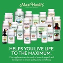 lysine-complex-with-probiotics-l-lysine--6.jpg