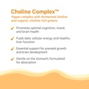 pure-synergy-choline-complex-vegan-choli-4.jpg