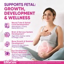 prenatal-gummies-with-methyl-folate-1mg--4.jpg