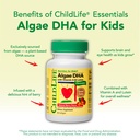 childlife-essentials-algae-dha-for-kids--2.jpg