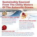 2-pack-antarctic-krill-oil-omega-3-softg-3.jpg