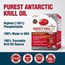 labo-nutrition-perfect-krill-ex-1000mg-a-5.jpg