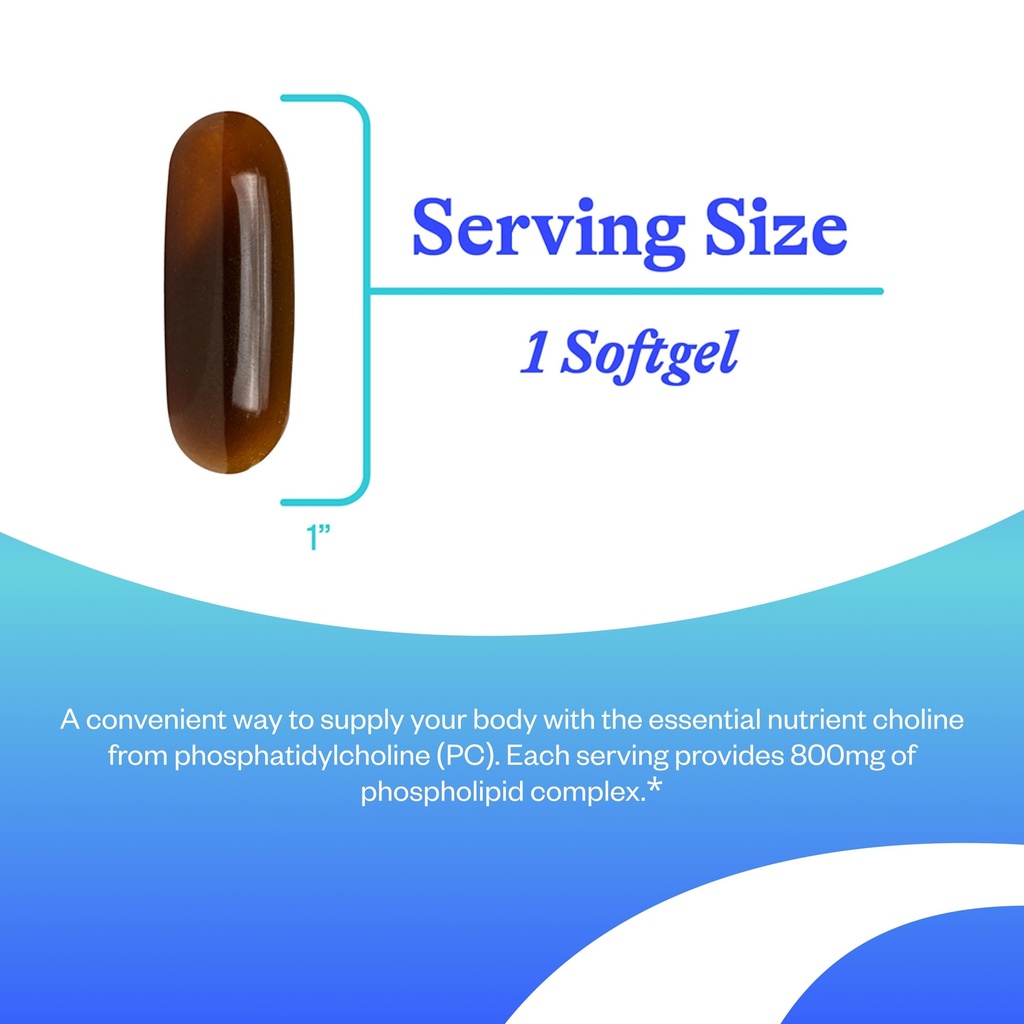 seeking-health-optimal-pc-support-brain--3.jpg