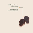 om-mushroom-superfood-relax-gummies-usa--2.jpg