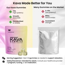 wunderkind-kava-gummies-extra-strength-h-4.jpg