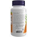 now-foods-supplements-bilberry-vaccinium-3.jpg