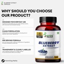 humming-herbs-blueberry-bilberry-extract-6.jpg