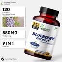 humming-herbs-blueberry-bilberry-extract-5.jpg