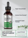 horb-ach-marshmallow-root-extract-tinctu-3.jpg