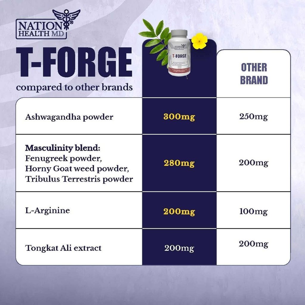 t-forge-energy-and-mood-support-suppleme-3.jpg