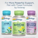 solaray-dandelion-root-supplement---heal-6.jpg