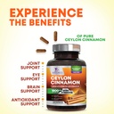 organic-ceylon-cinnamon-capsules-extra-s-5.jpg