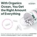 organics-ocean-pure-magnesium-glycinate--3.jpg