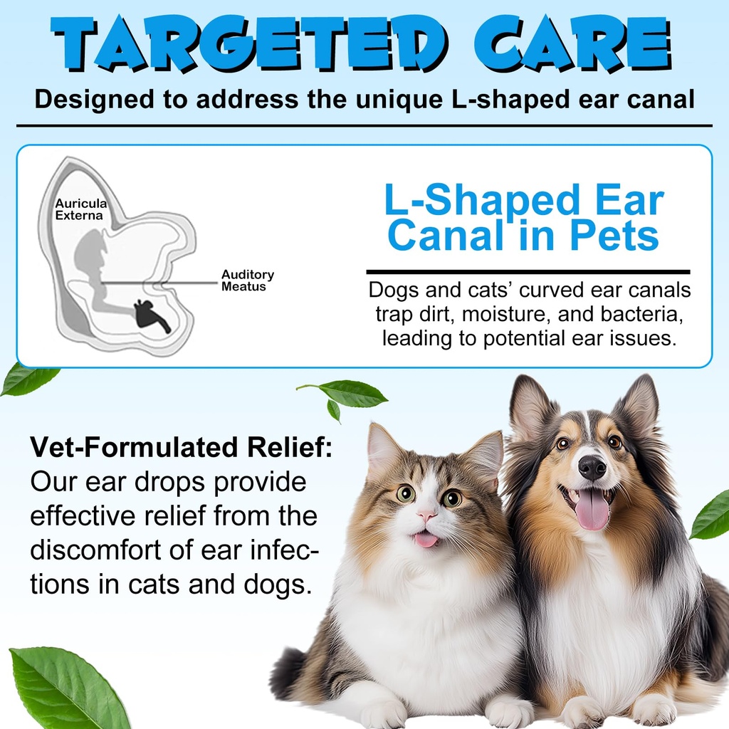 cat-dog-ear-infection-treatment-drops-do-6.jpg