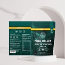 primal-harvest-collagen-powder-vision-su-4.jpg