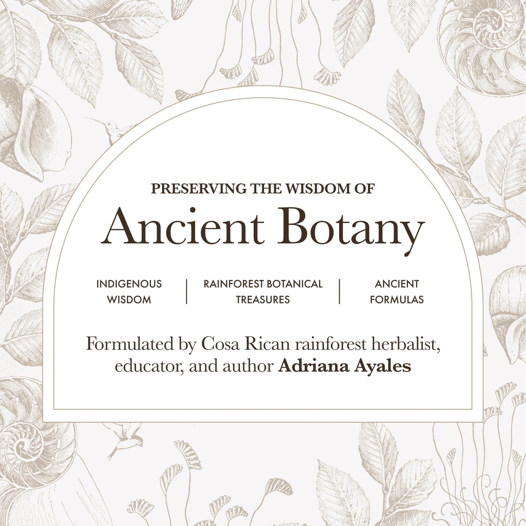 anima-mundi-apothecary-moringa-leaf-powd-2.jpg