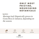 anima-mundi-apothecary-moringa-leaf-powd-6.jpg
