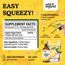wild-organic-ginger-root-tincture-4-fl-o-3.jpg