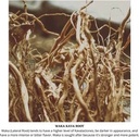 starwest-botanicals-kava-kava-root-c-s-4-3.jpg