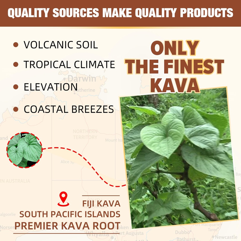 kava-kava-root-extract-supplement-natura-4.jpg