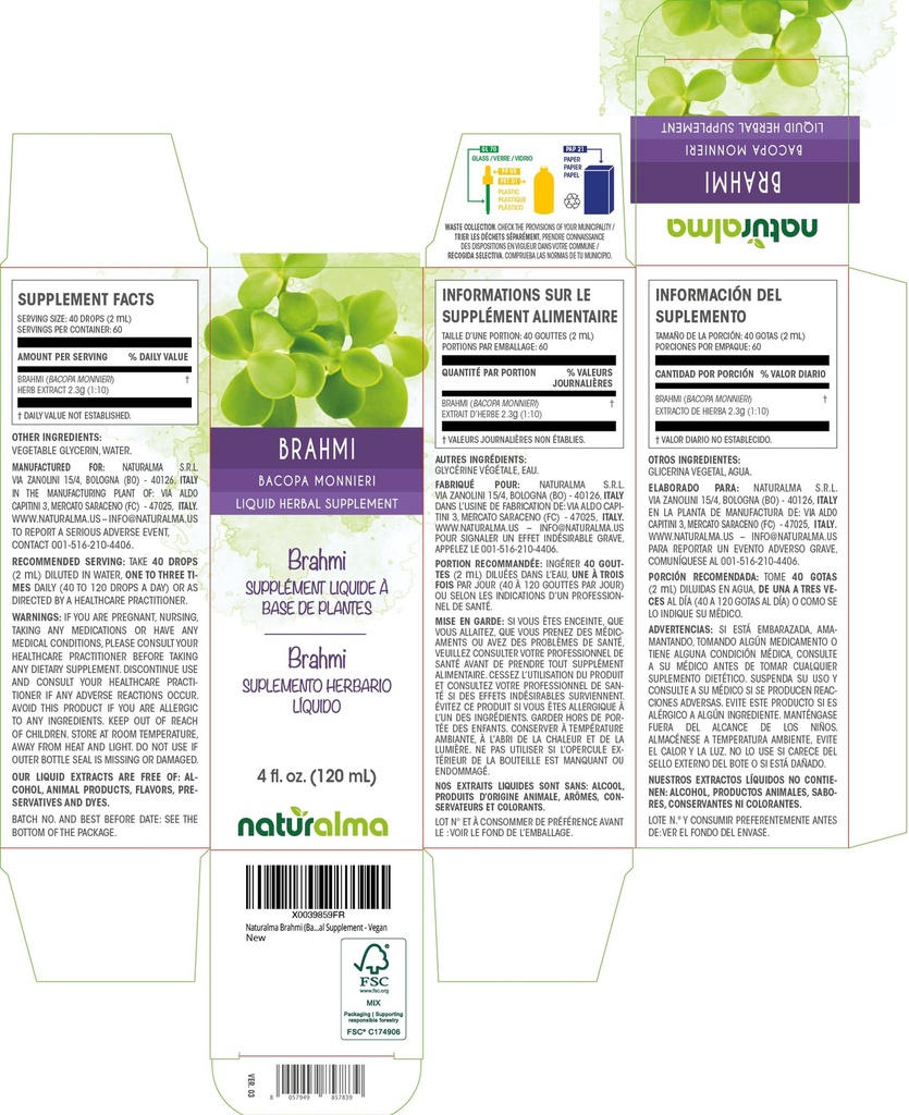 naturalma-brahmi-bacopa-monnieri-herb-al-2.jpg