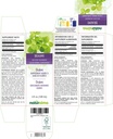naturalma-brahmi-bacopa-monnieri-herb-al-2.jpg