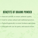 ayurvedashree-centella-asiatica-powder-2-6.jpg
