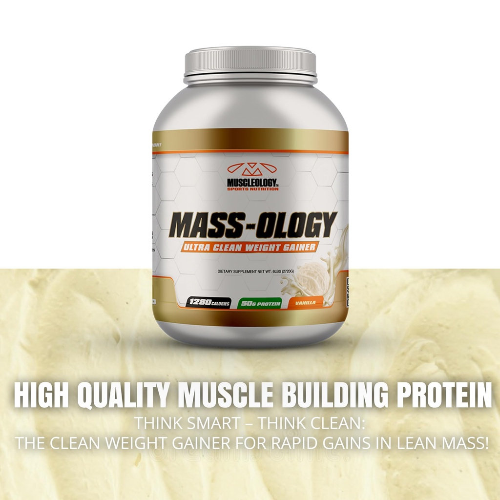 weight-gainer-whey-protein-powder-muscle-5.jpg