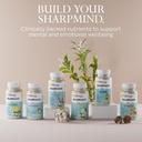 solaray-sharpmind-stress-nootropic-mood--6.jpg