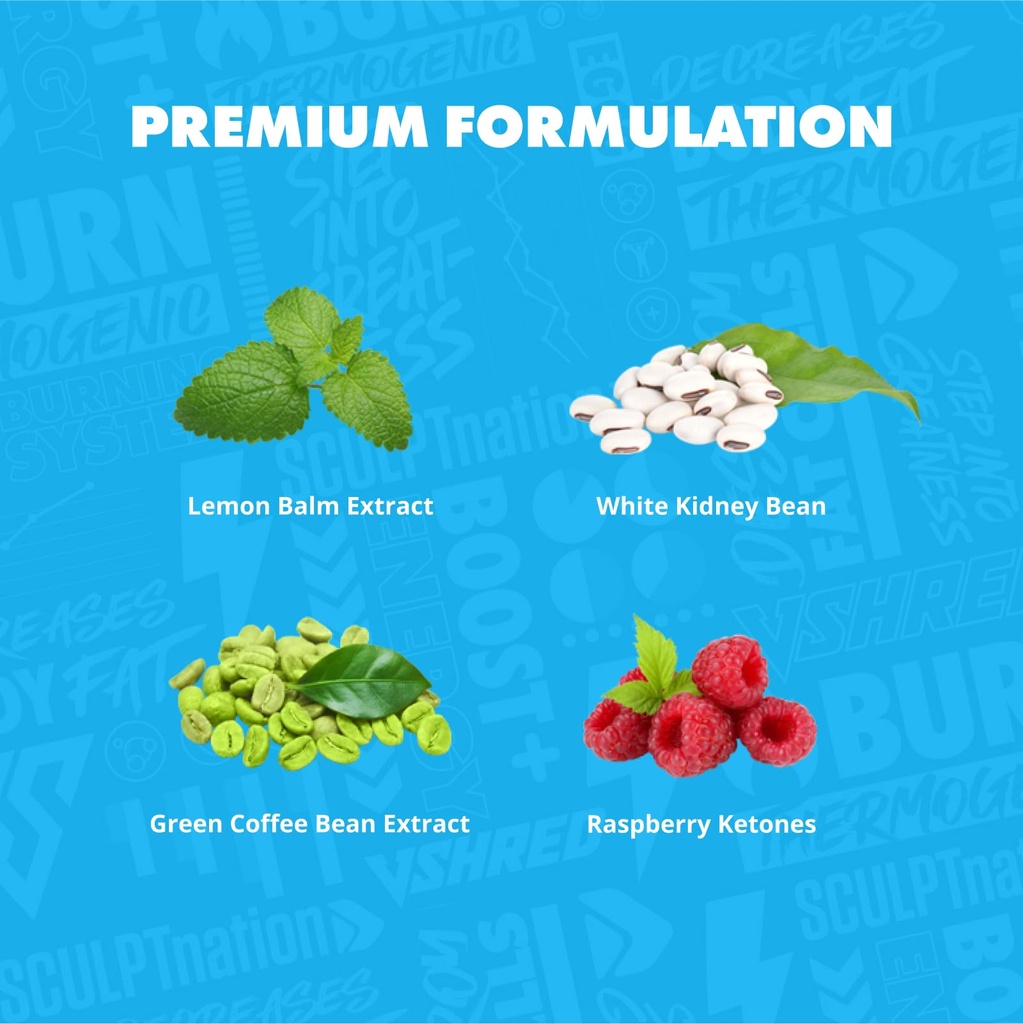 sculpt-nation-by-v-shred-burn-pm-and-l-a-4.jpg
