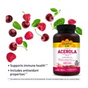 country-life-acerola-vitamin-c-complex-5-4.jpg