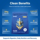birdman-falcon-vegan-protein-powder-orga-3.jpg