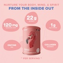 birdman-fitmingo-vegan-protein-powder-wi-4.jpg