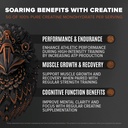 birdman-bundle-falcon-performance-vegan--3.jpg