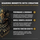birdman-falcon-performance-vegan-protein-4.jpg