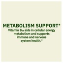 spring-valley-vitamin-b12-supplement-tim-5.jpg