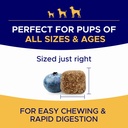 omega-3-fish-oil-for-dogs-180-ct-skin-co-6.jpg