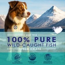 wild-omega-3-fish-oil-for-dogs-dog-fish--2.jpg