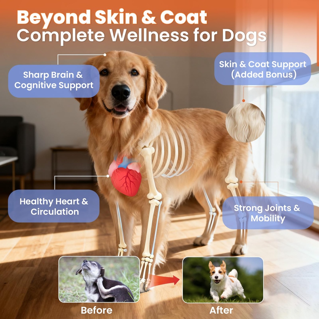 salmon-oil-for-dogs-omega-3-for-dog-skin-3.jpg