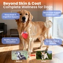 salmon-oil-for-dogs-omega-3-for-dog-skin-3.jpg