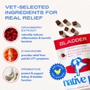 native-pet-urinary-omega-wellness-bundle-6.jpg