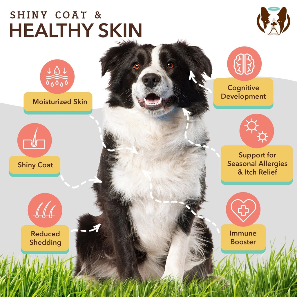 natural-dog-company-everyday-itch-relief-4.jpg