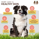natural-dog-company-everyday-itch-relief-4.jpg