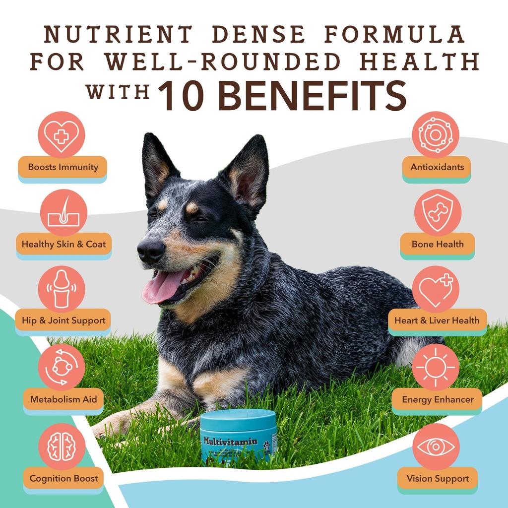 natural-dog-company-multivitamin-supplem-6.jpg