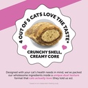 cat-multivitamin-skin-health-virtual-bun-6.jpg