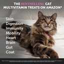 cat-multivitamin-skin-health-virtual-bun-2.jpg