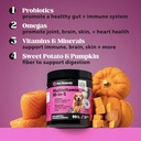 pet-honesty-dog-wellness-virtual-bundle--4.jpg