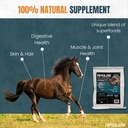 greenfit-apolo-s-100-natural-horse-suppl-2.jpg