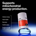 the-absorption-company-coq10-60-capsules-3.jpg