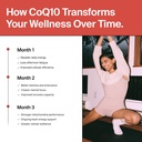 the-absorption-company-coq10-60-capsules-6.jpg